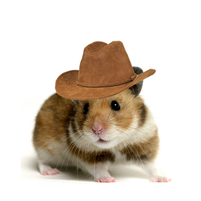 hamster1.png