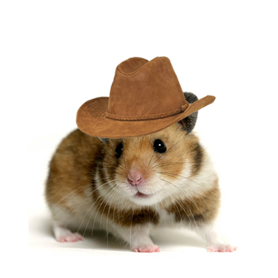 hamster cowboy hat