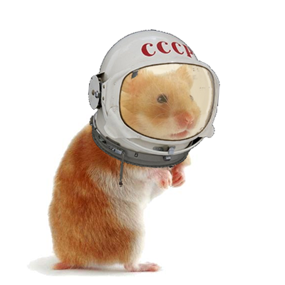 hamster4