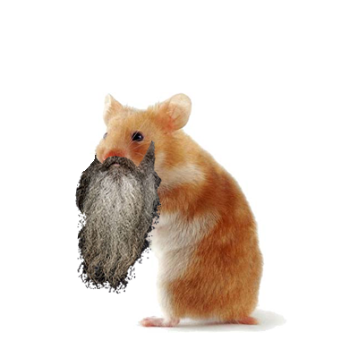 hamster6